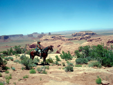 USA-Arizona-Trails of the Ancient - Valley of Gods to Monument Valley